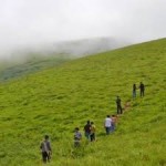 Trek to Mullayanagiri 1N/2D